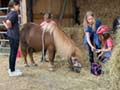 Kinderreitkurs 2024