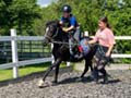 Kinderreitkurs 2024
