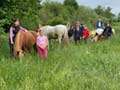 Kinderreitkurs 2024