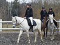 Reitabzeichen Ostern 2016