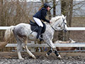 Reitabzeichen Ostern 2016